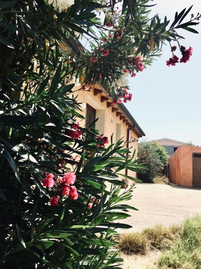 Funtan'Arva Villa Loculi Buitenkant foto